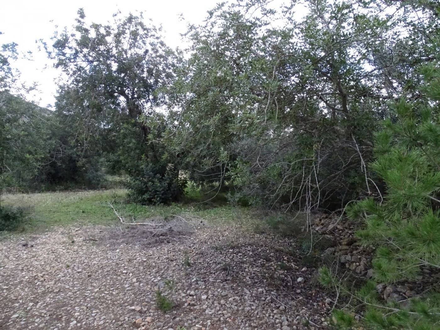 Finca/Landehus til salg i Sant Carles de la Rapita - € 90.000 (Ref: 6168938)