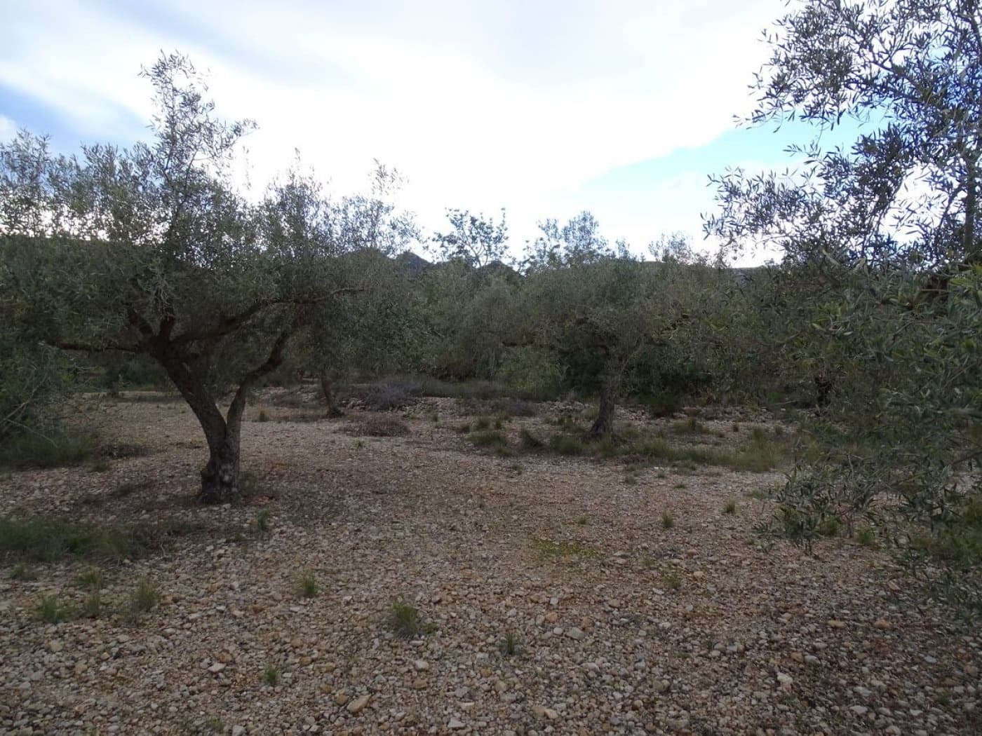 Finca/Landehus til salg i Sant Carles de la Rapita - € 90.000 (Ref: 6168938)