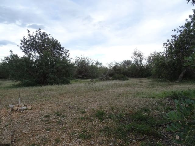 Maalaistalo myytävänä paikassa Sant Carles de la Ràpita - 90 000 € (Ref: 6168938)