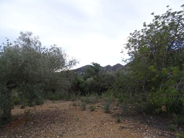 Maalaistalo myytävänä paikassa Sant Carles de la Ràpita - 90 000 € (Ref: 6168938)