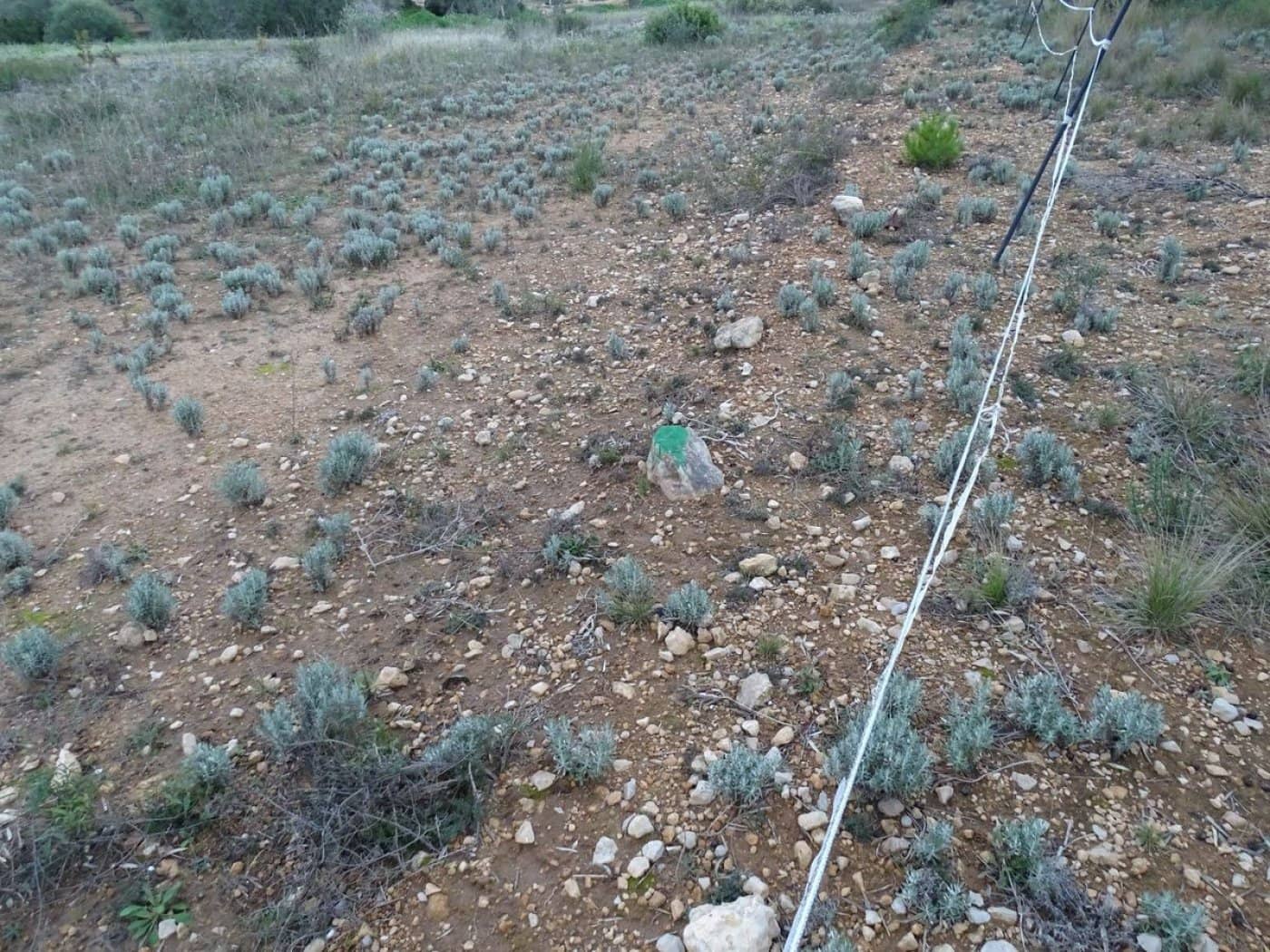 Finca/Landehus til salg i Sant Carles de la Rapita - € 90.000 (Ref: 6168938)