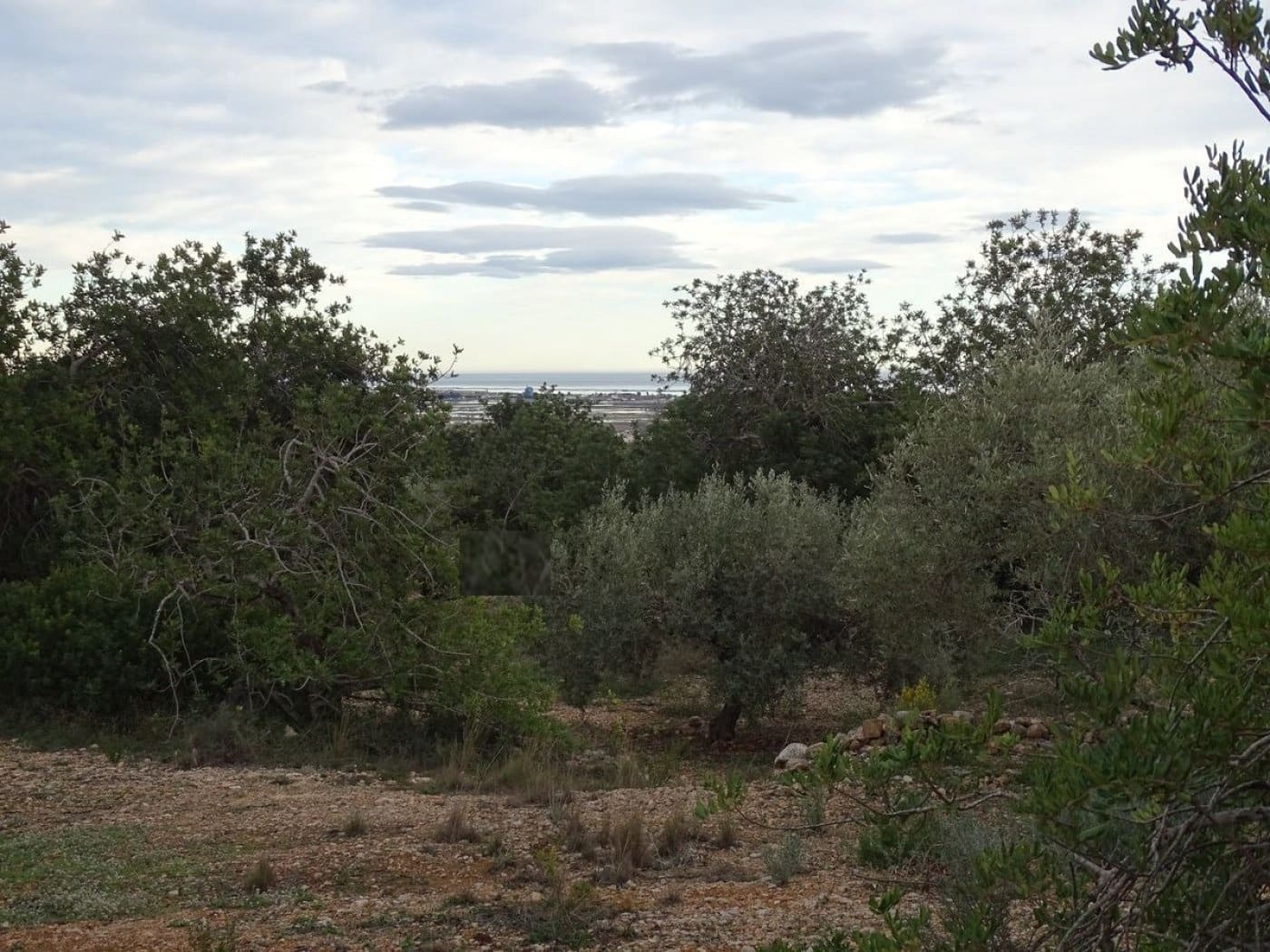 Finca/Landehus til salg i Sant Carles de la Rapita - € 90.000 (Ref: 6168938)