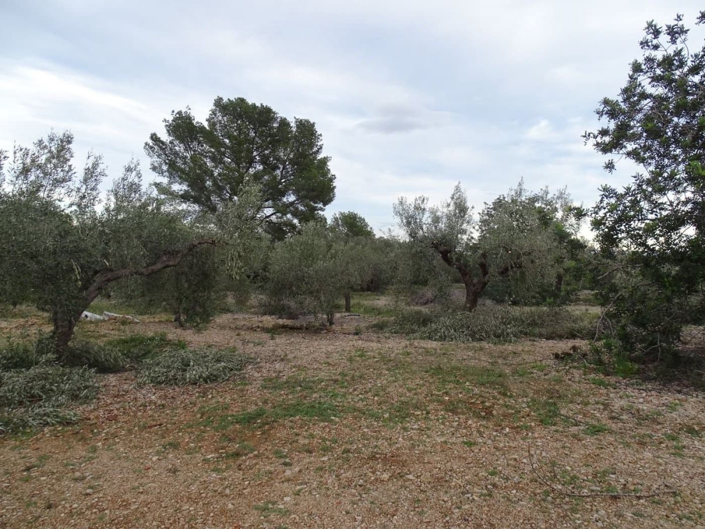 Finca/Landehus til salg i Sant Carles de la Rapita - € 90.000 (Ref: 6168938)