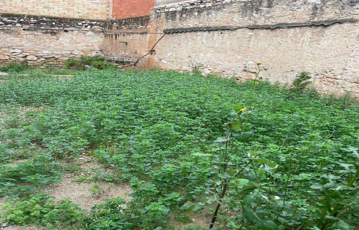 Building Plot for sale in Sant Carles de la Rapita - € 30,000 (Ref: 7295110)