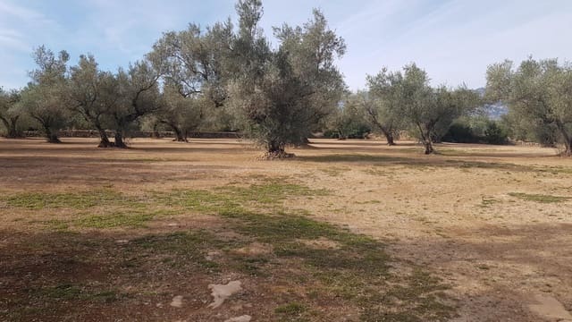 Finca/Herregård til salgs i Mas de Barberans - € 26 000 (Ref: 8242844)