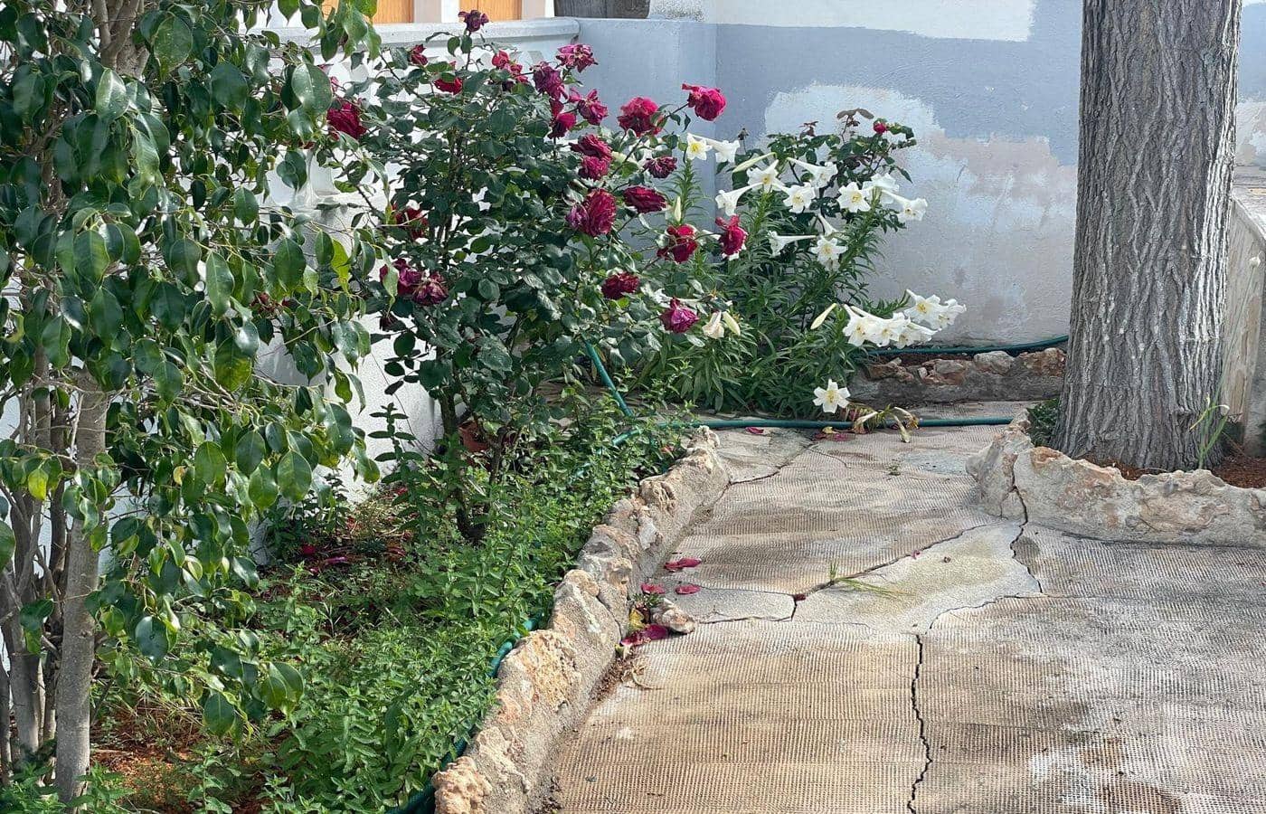 3 soverom Villa til salgs i Alcanar med svømmebasseng - € 185 500 (Ref: 8316432)