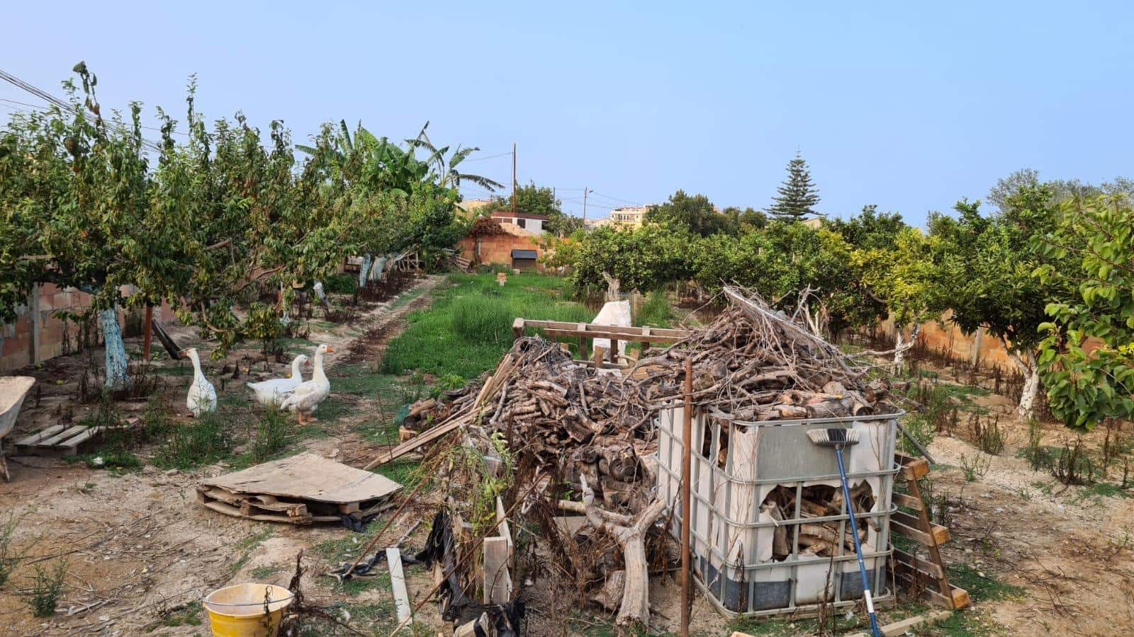 Bouwgrond te koop in Deltebre - € 70.000 (Ref: 8493710)