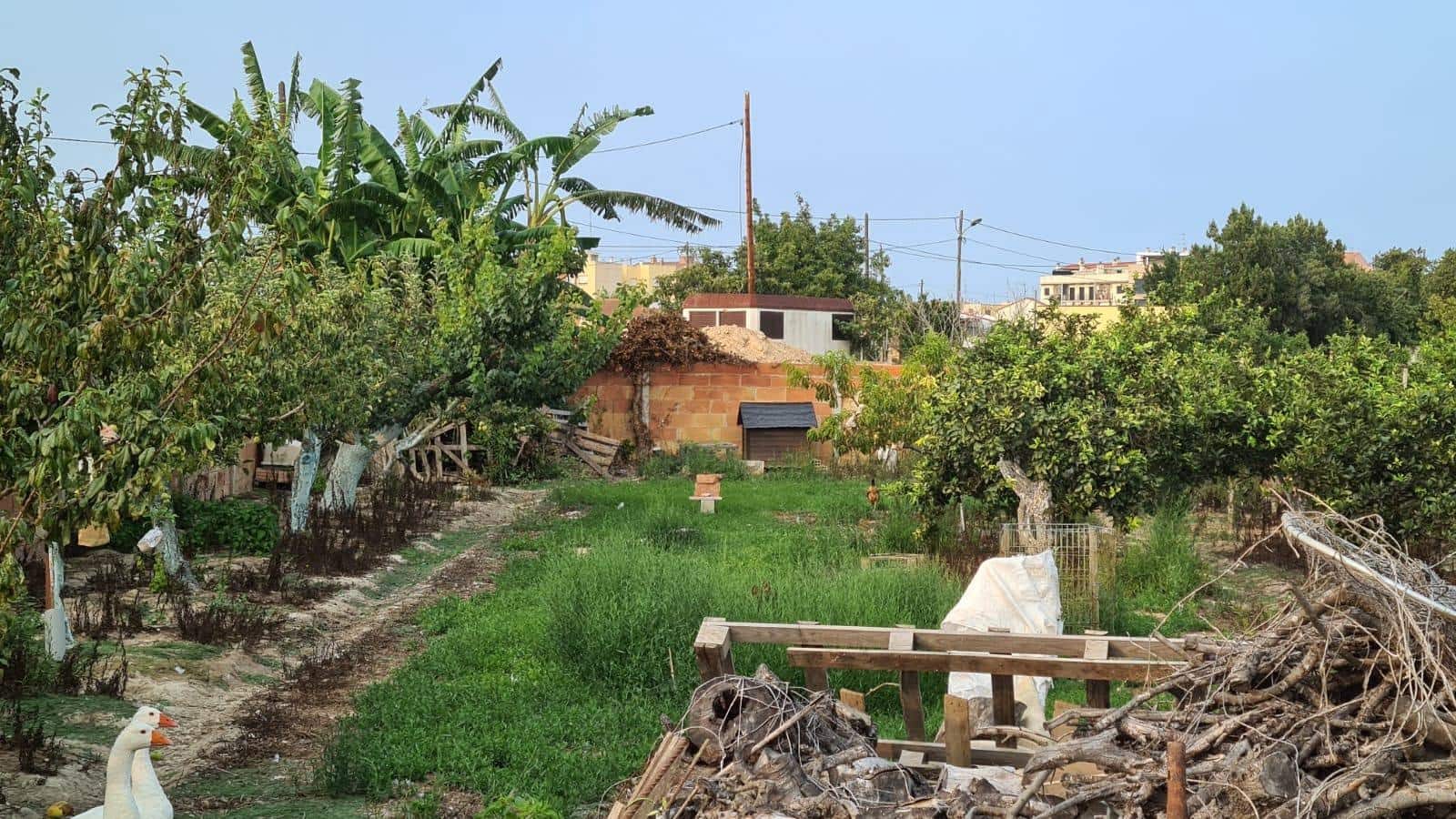 Bouwgrond te koop in Deltebre - € 70.000 (Ref: 8493710)