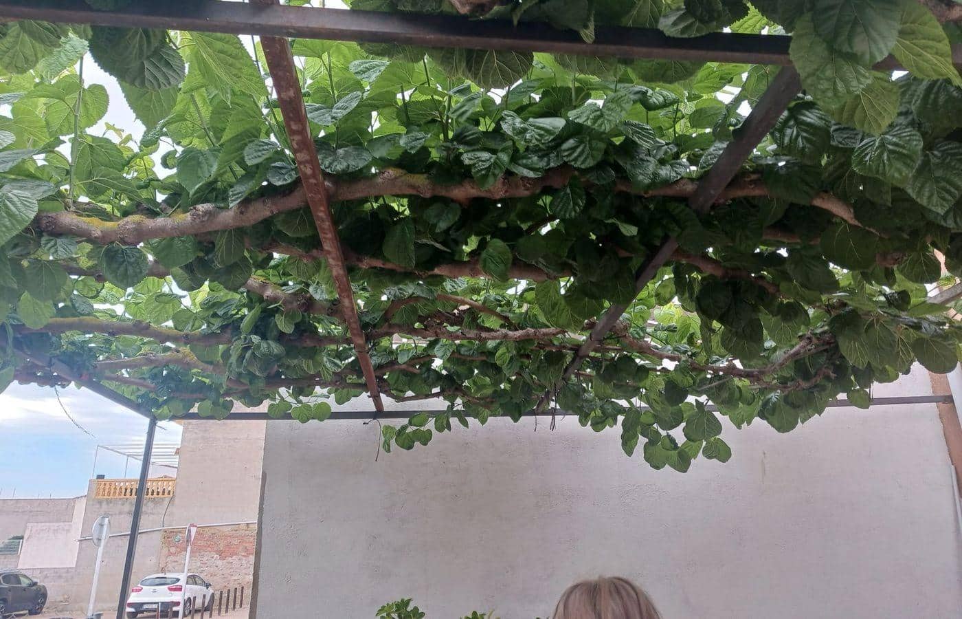 6 sovrum Villa till salu i Sant Jaume d'Enveja med pool garage - 309 000 € (Ref: 8802281)