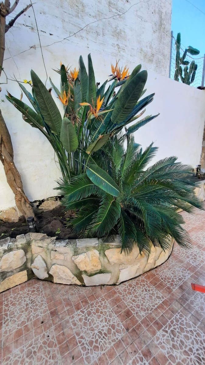 8 sypialnia Finka/Dom wiejski na sprzedaż w Amposta - 298 000 € (Ref: 8903062)