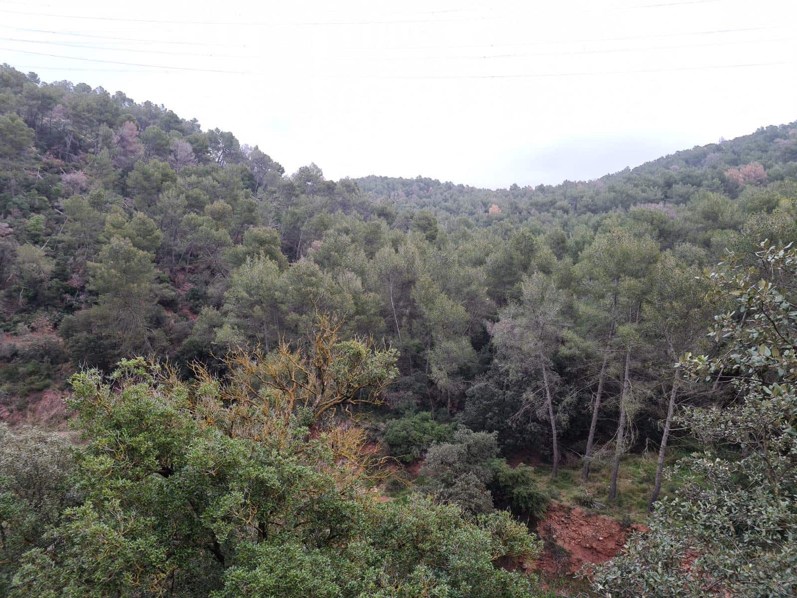 5 soveværelse Finca/Landehus til salg i Sentmenat - € 515.000 (Ref: 9023198)