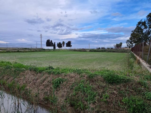 Undeveloped Land for sale in Amposta - € 8,000 (Ref: 9145500)