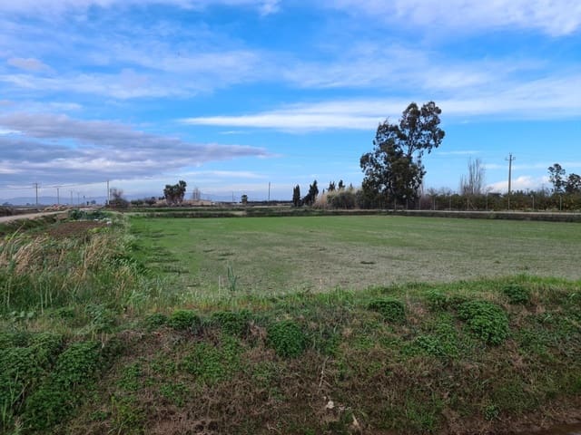 Undeveloped Land for sale in Amposta - € 8,000 (Ref: 9145500)