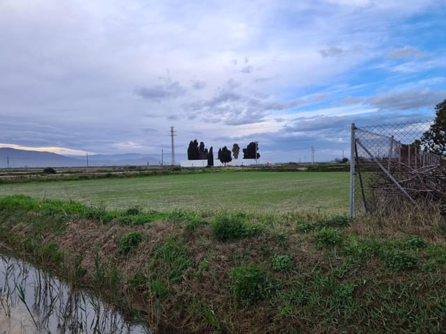 Undeveloped Land for sale in Amposta - € 8,000 (Ref: 9145500)