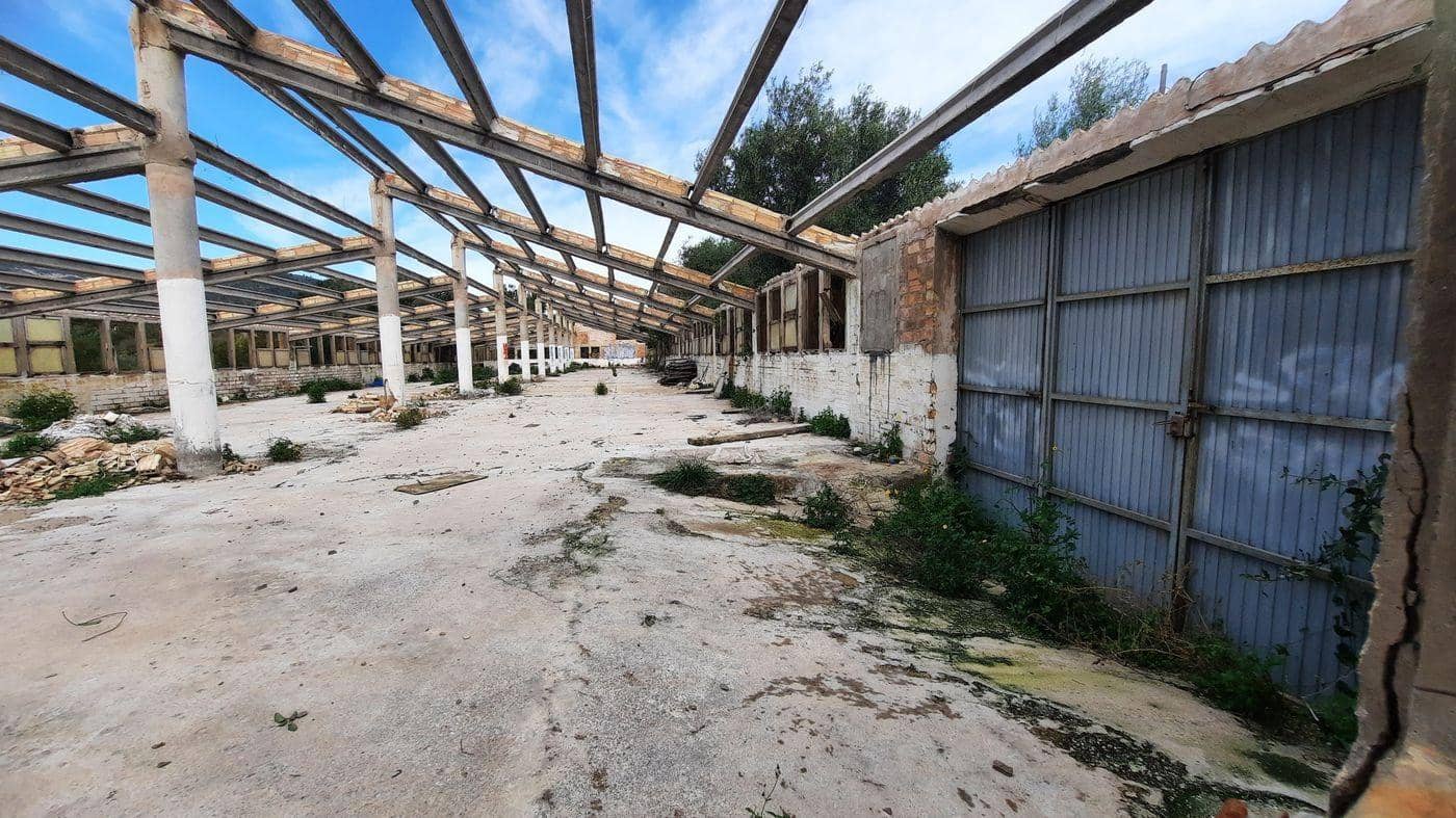 Erhverv til leje i Sant Carles de la Rapita - € 450 (Ref: 9591294)