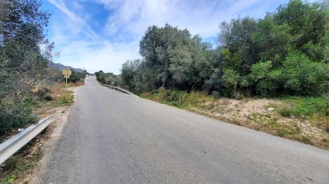 Erhverv til leje i Sant Carles de la Ràpita - € 450 (Ref: 9591294)