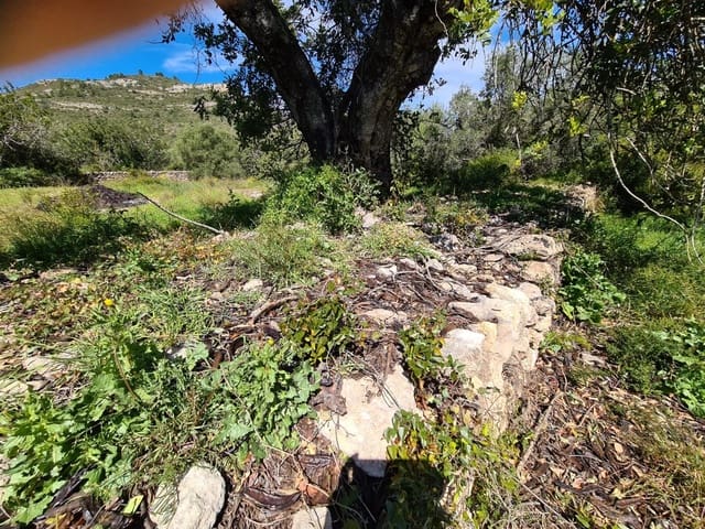 Terreno/Finca Rústica en Sant Carles de la Ràpita en venta - 77.000 € (Ref: 9741751)