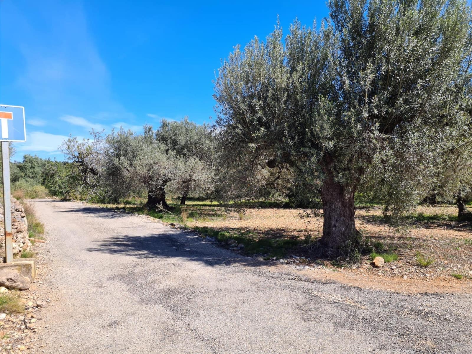 Undeveloped Land for sale in Sant Carles de la Rapita - € 77,000 (Ref: 9741751)