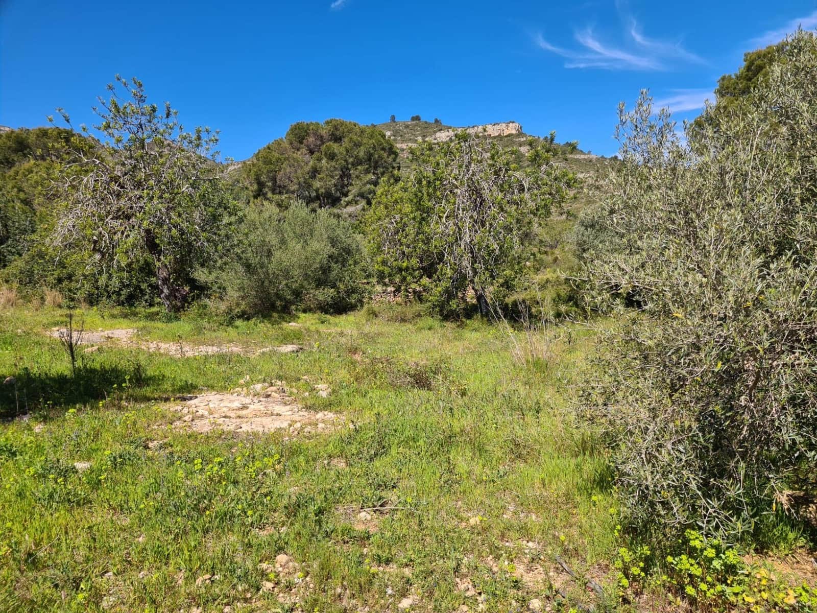 Undeveloped Land for sale in Sant Carles de la Rapita - € 77,000 (Ref: 9741751)