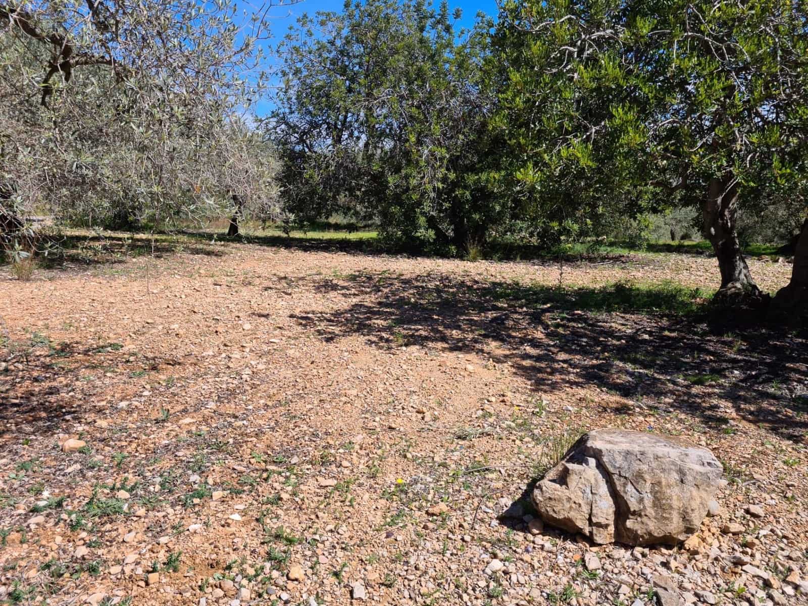 Undeveloped Land for sale in Sant Carles de la Rapita - € 77,000 (Ref: 9741751)