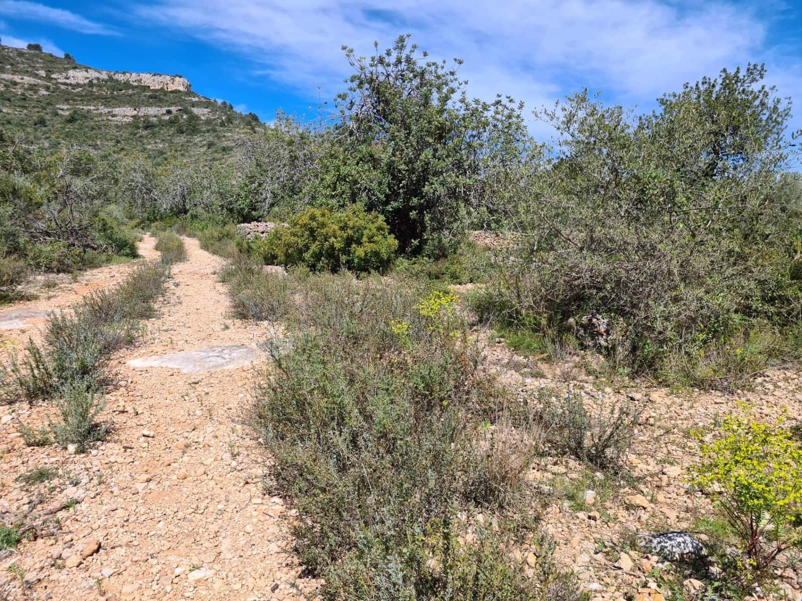 Undeveloped Land for sale in Sant Carles de la Rapita - € 77,000 (Ref: 9741751)