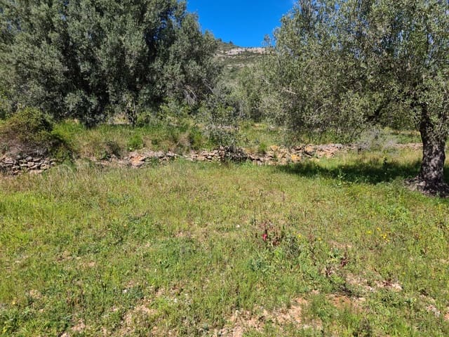 Terreno/Finca Rústica en Sant Carles de la Ràpita en venta - 77.000 € (Ref: 9741751)