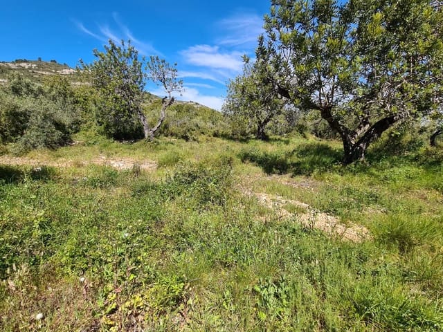 Terreno/Finca Rústica en Sant Carles de la Ràpita en venta - 77.000 € (Ref: 9741751)