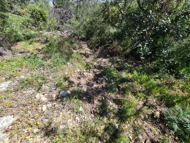 Terreno/Finca Rústica en Sant Carles de la Ràpita en venta - 77.000 € (Ref: 9741751)