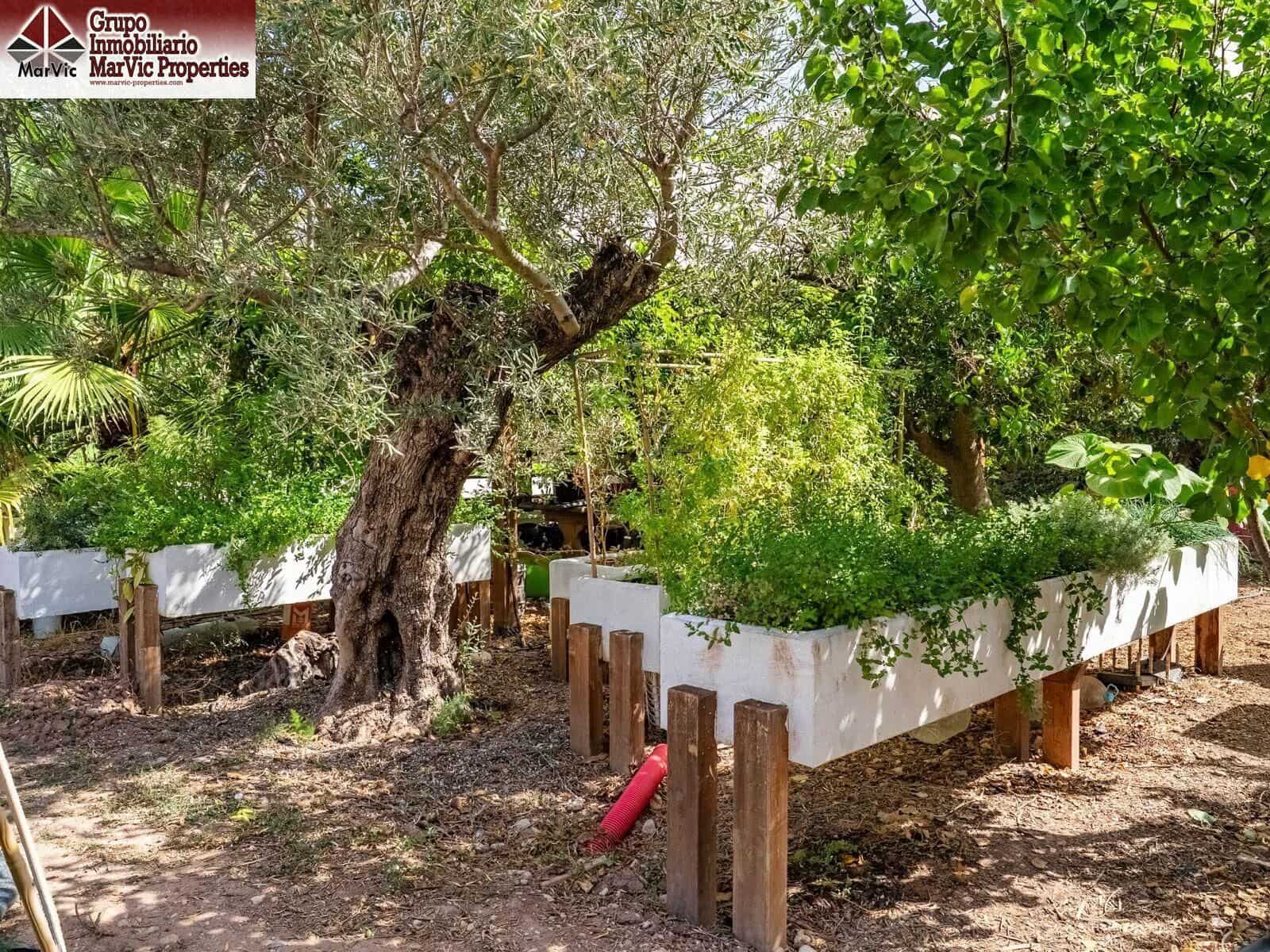 3 quarto Apartamento para venda em Callosa d'En Sarria - 340 000 € (Ref: 10043104)
