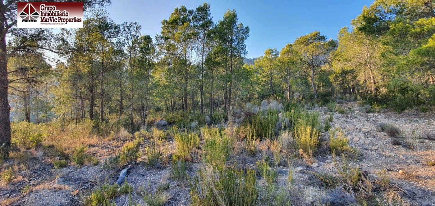 Terrain à Bâtir à vendre à Finestrat - 195 000 € (Ref: 6634367)