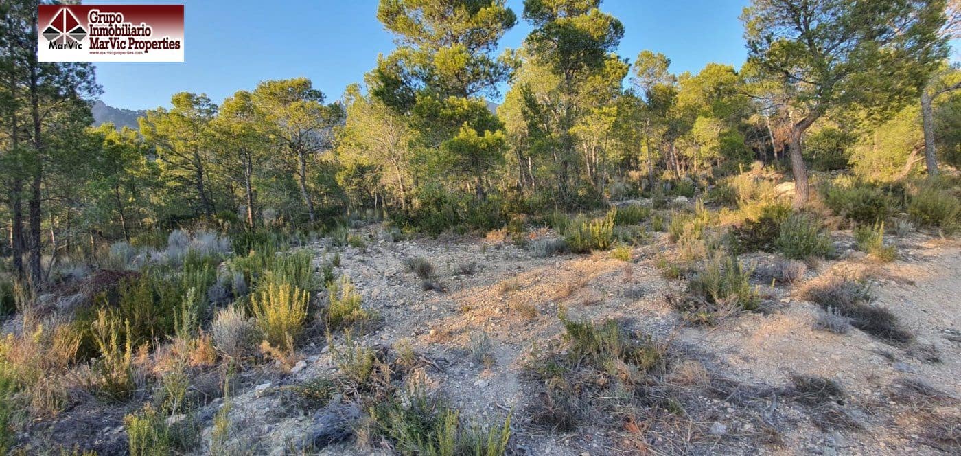 Terrain à Bâtir à vendre à Finestrat - 195 000 € (Ref: 6634367)