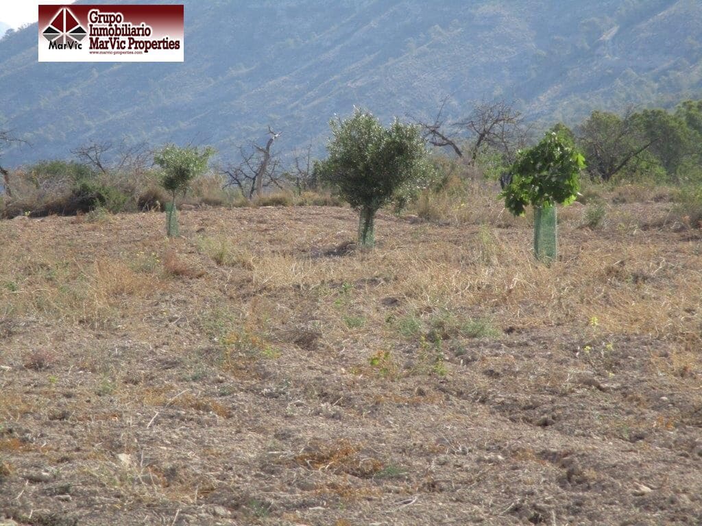 Byggegrund til salg i Orxeta - € 228.000 (Ref: 8537414)