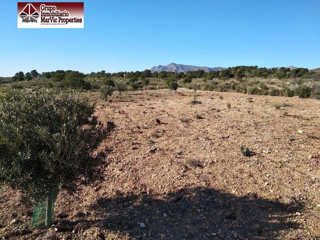 Byggegrund til salg i Orxeta - € 228.000 (Ref: 8537414)