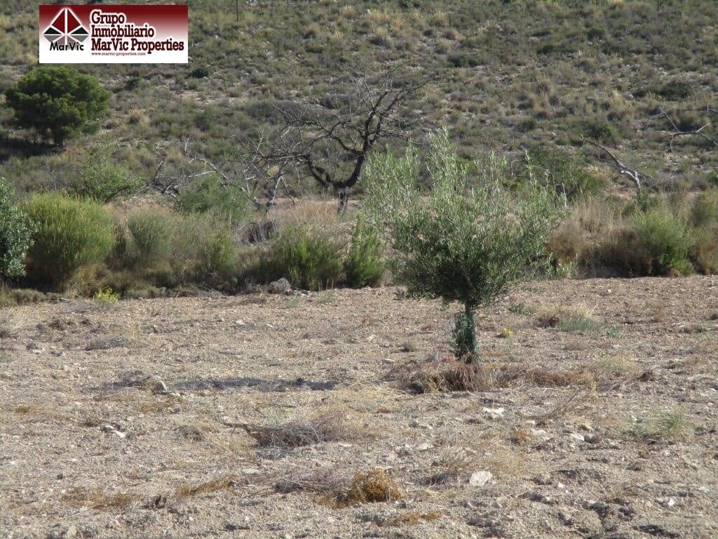 Byggegrund til salg i Orxeta - € 228.000 (Ref: 8537414)