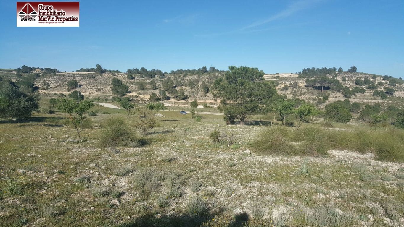 Byggegrund til leje i Albacete by - € 1.300 (Ref: 8537495)