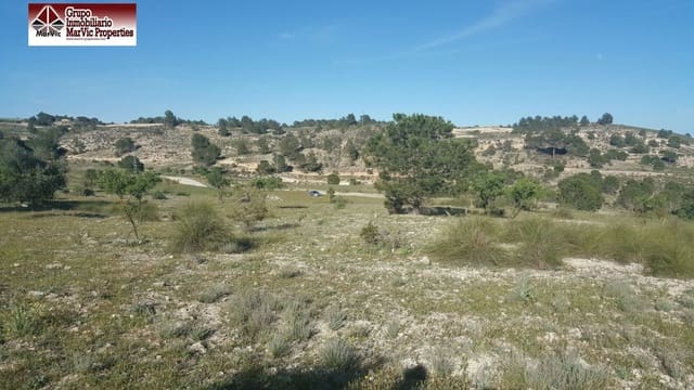 Byggegrund til leje i Albacete by - € 1.300 (Ref: 8537495)