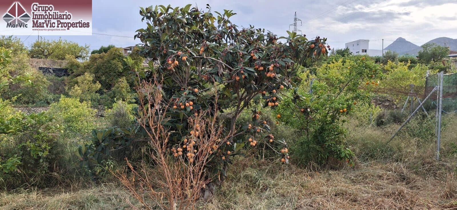 Grunde uden byggetilladelser til salg i La Nucia - € 62.500 (Ref: 8923697)