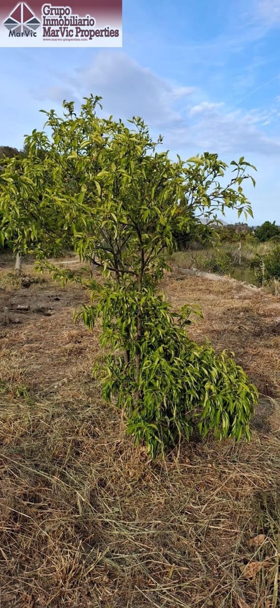 Grunde uden byggetilladelser til salg i La Nucia - € 62.500 (Ref: 8923697)