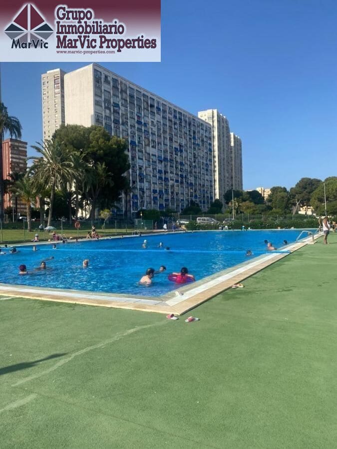 Studio til salg i Benidorm med swimmingpool - € 70.000 (Ref: 9159487)