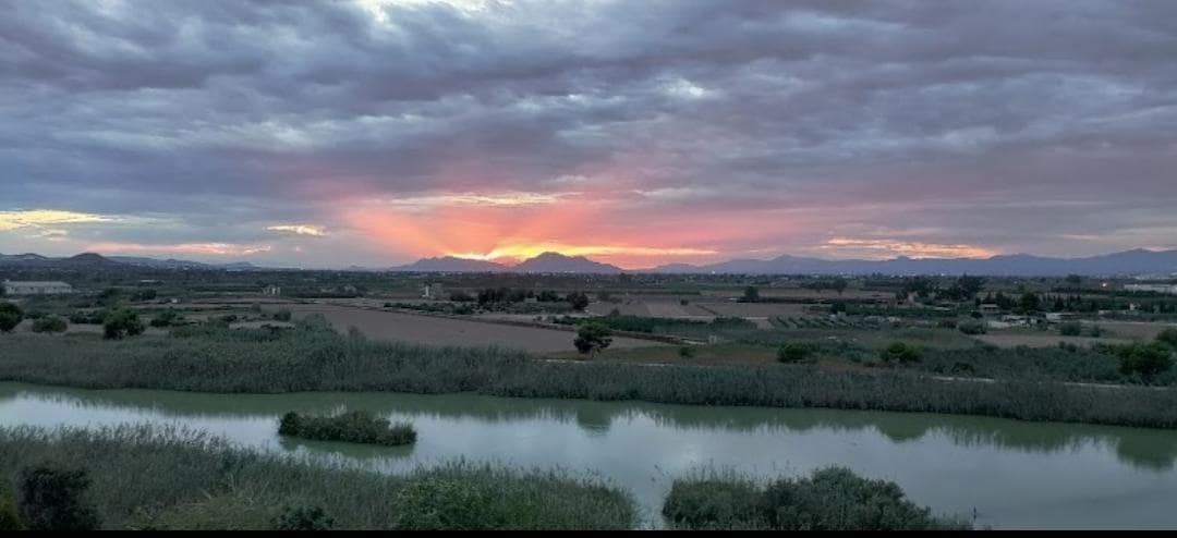 Piso de 2 habitaciones en Guardamar del Segura en venta con piscina - 169.000 € (Ref: 9239990)