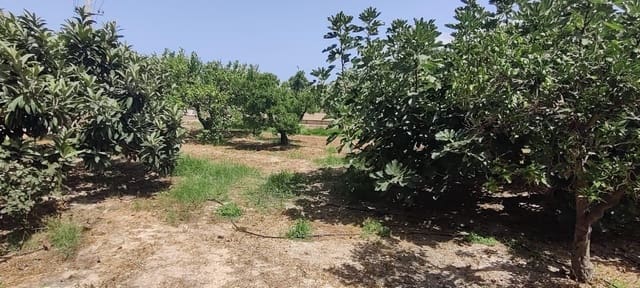 3 camera da letto Finca/Casa di Campagna in vendita in Rincón de Loix, Benidorm - 390.000 € (Rif: 9255313)