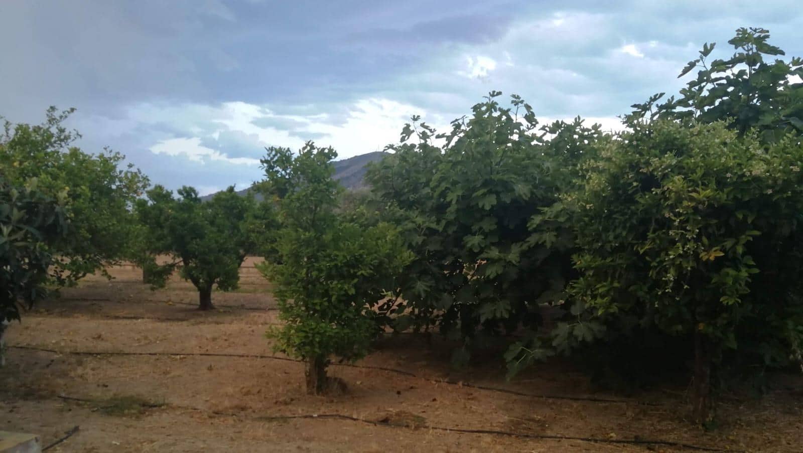 3 sovrum Finca/Hus på landet till salu i Benidorm - 390 000 € (Ref: 9255313)