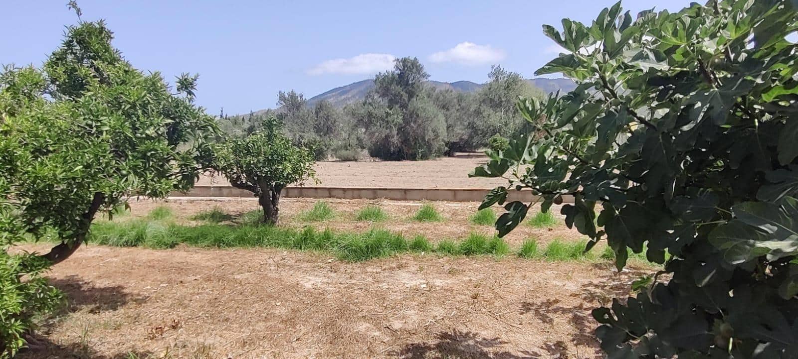 3 sovrum Finca/Hus på landet till salu i Benidorm - 390 000 € (Ref: 9255313)