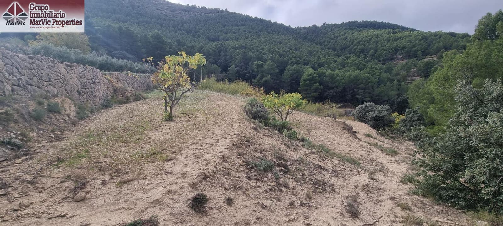 7 camera da letto Finca/Casa di Campagna in vendita in Orxeta - 380.000 € (Rif: 9374140)