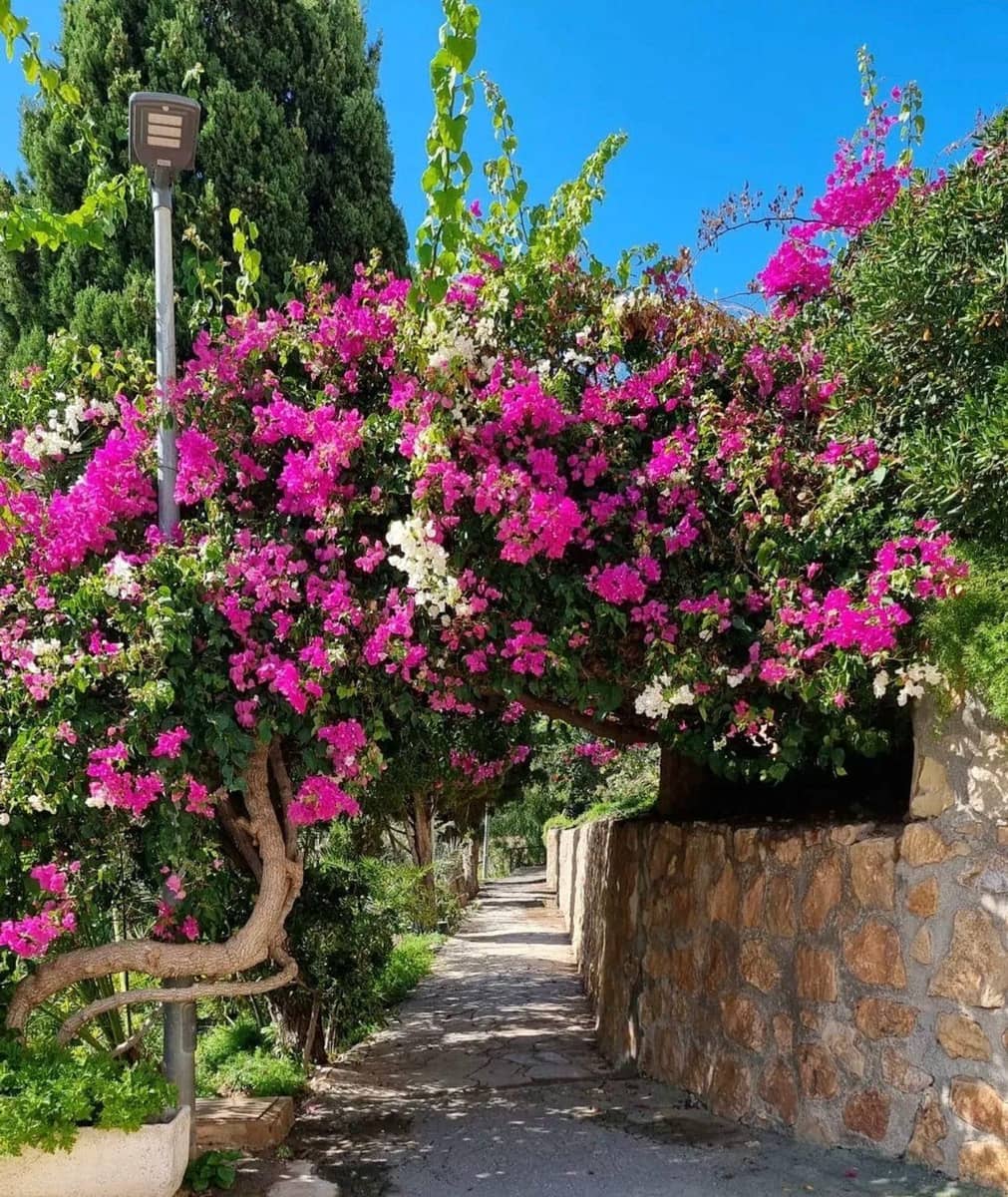 1 camera da letto Appartamento in vendita in La Villajoyosa / Vila Joiosa con piscina - 157.500 € (Rif: 9411006)