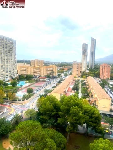 1 soveværelse Lejlighed til salg i Juzgados - Plaza de Toros, Benidorm med swimmingpool - € 109.500 (Ref: 9419796)