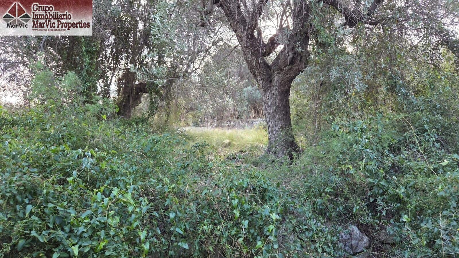 Byggegrund til salg i Beniarda - € 27.000 (Ref: 9449212)