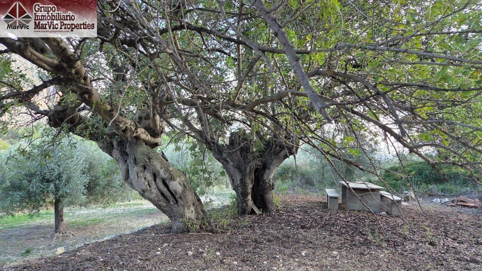 Byggegrund til salg i Beniarda - € 27.000 (Ref: 9449212)