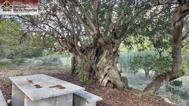 Byggegrund til salg i Beniardá - € 27.000 (Ref: 9449212)