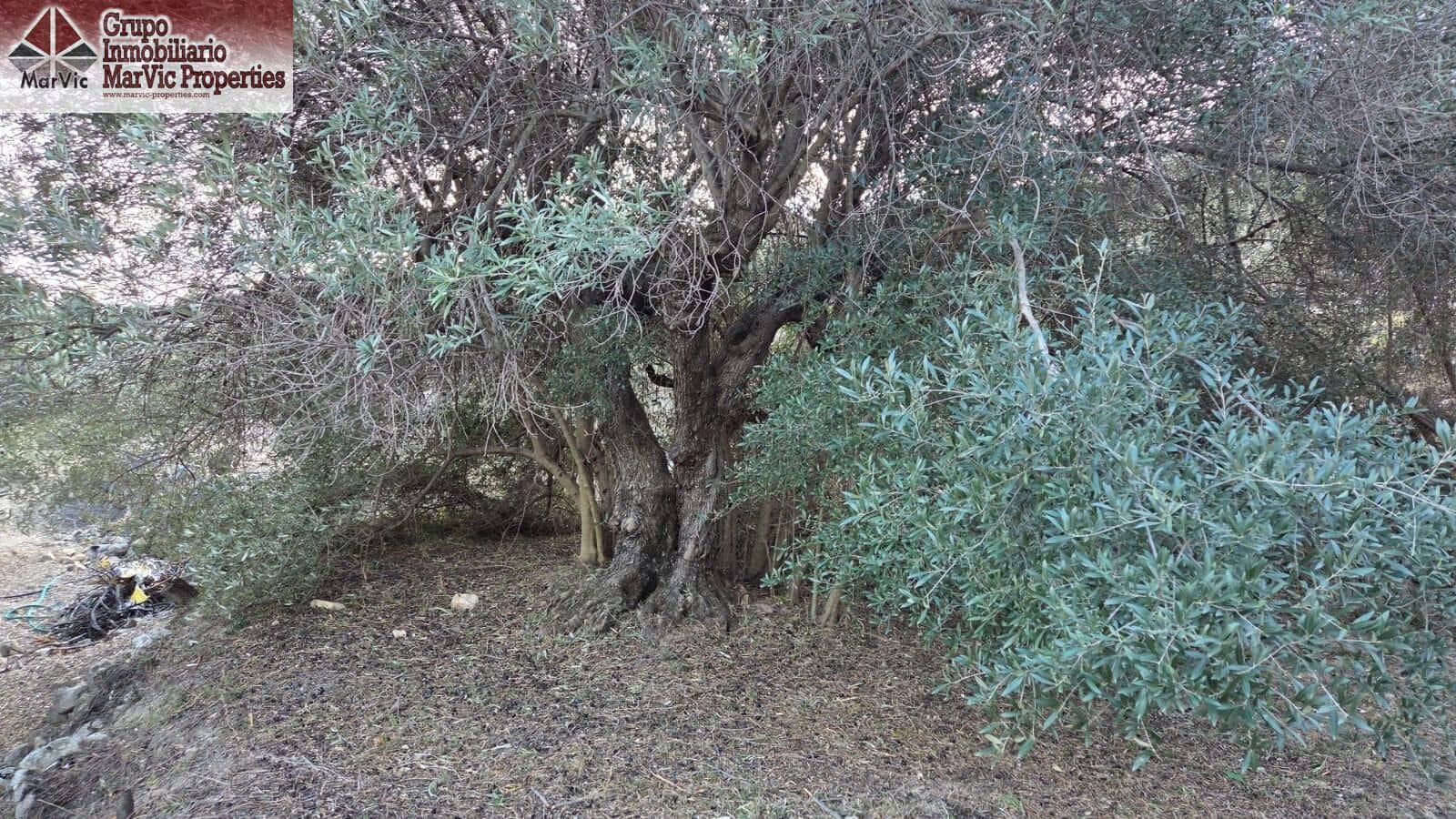 Byggegrund til salg i Beniarda - € 27.000 (Ref: 9449212)